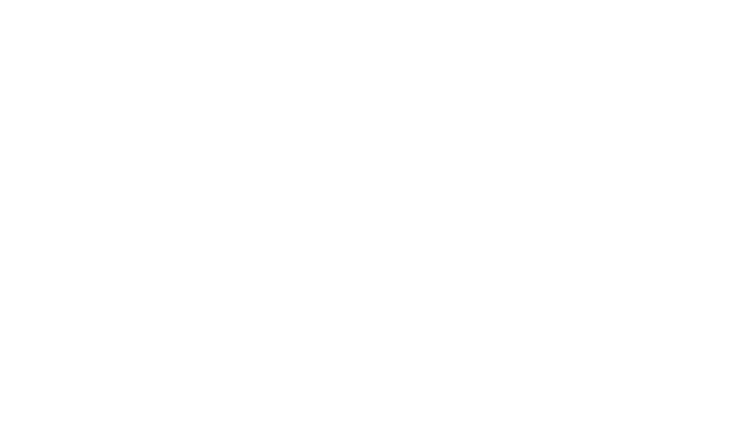 Flow Logo White Flow Logo White